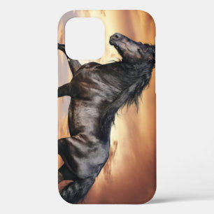 Beautiful Black Horse iPhone 12 Pro Case