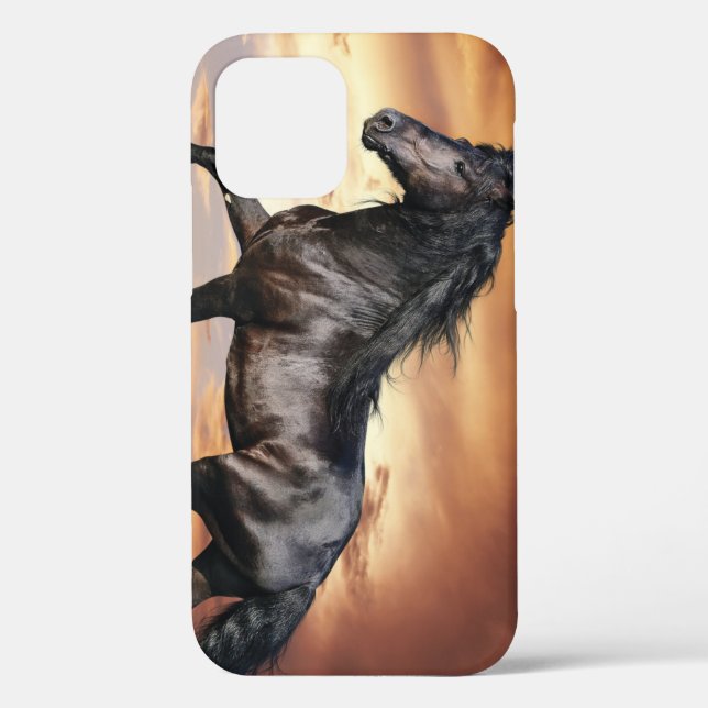 Beautiful Black Horse Case-Mate iPhone Case (Back)
