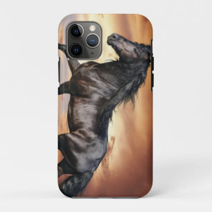 Beautiful Black Horse iPhone 11 Pro Case