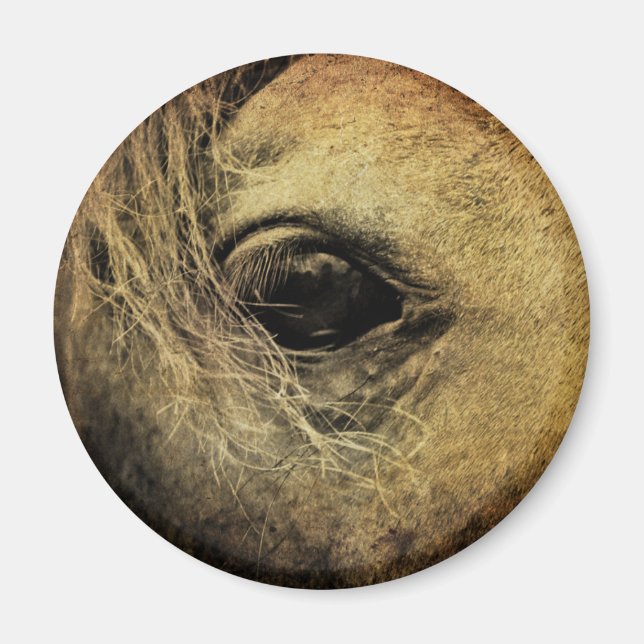 Beautiful Black Horse Eye Magnet (Front)