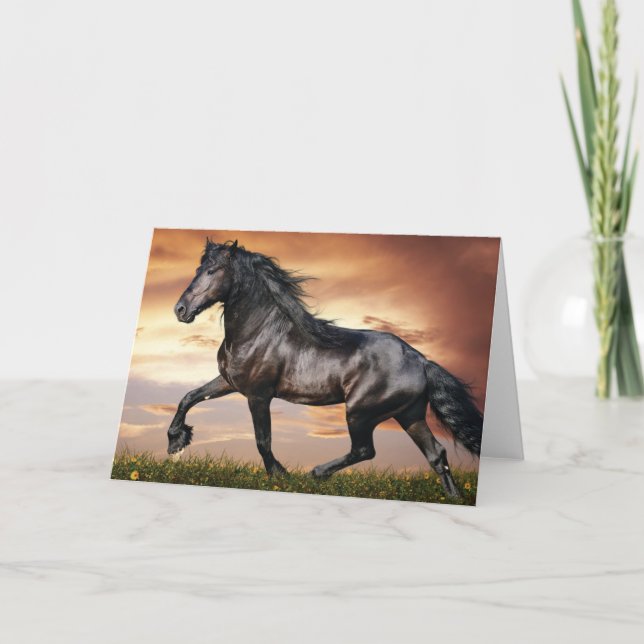 Beautiful Black Horse Holiday Card (Front)
