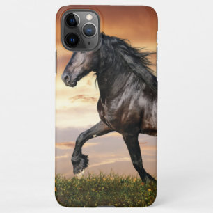 Beautiful Black Horse iPhone 11Pro Max Case