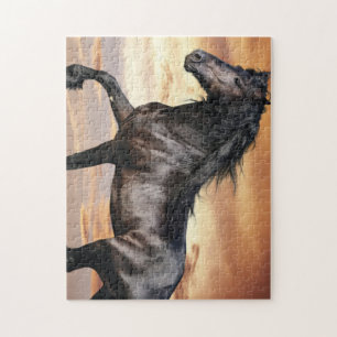 Beautiful Black Horse Jigsaw Puzzle