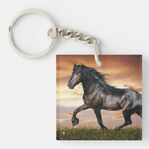 Beautiful Black Horse Key Ring