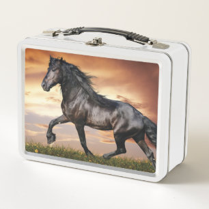 Beautiful Black Horse Metal Lunch Box