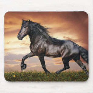 Beautiful Black Horse Mouse Mat