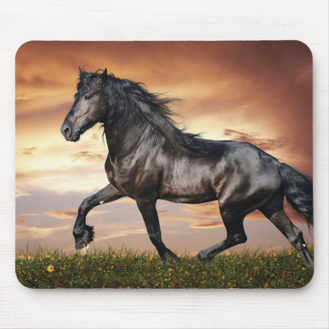 Beautiful Black Horse Mouse Mat (Front)