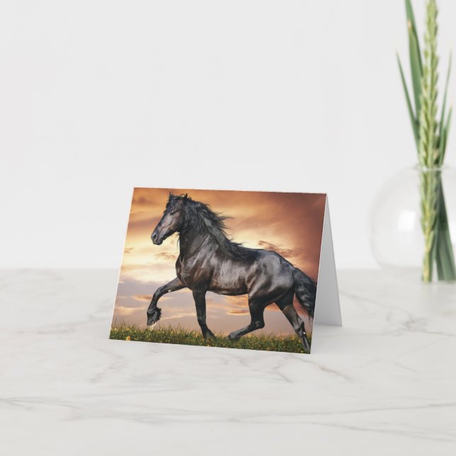 Beautiful Black Horse Note Card (Front)
