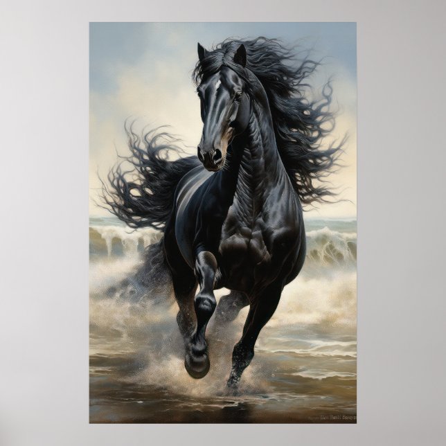 Beautiful Black Horse Poster (Front)