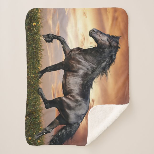 Beautiful Black Horse Sherpa Blanket (Front)