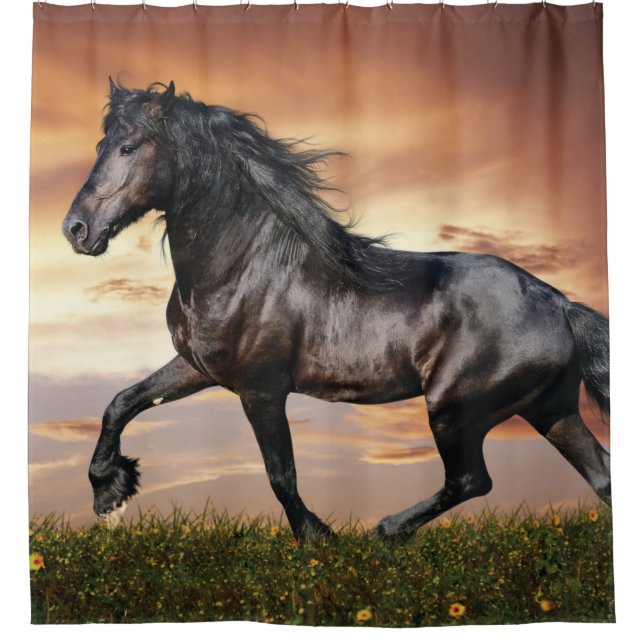 Beautiful Black Horse Shower Curtain (Front)