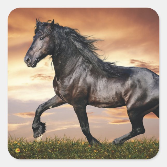 Beautiful Black Horse Square Sticker (Front)