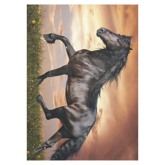 Beautiful Black Horse Tablecloth (Front)