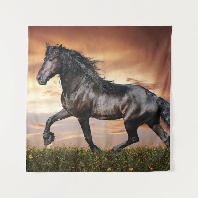 Beautiful Black Horse Tapestry (Front)