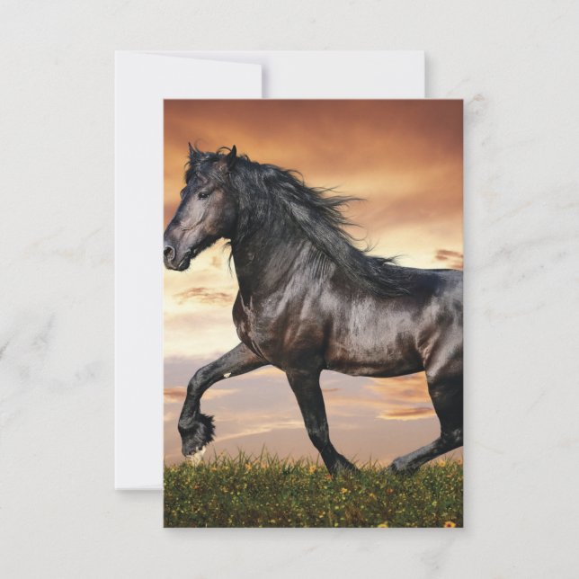 Beautiful Black Horse Thank You Card (Front)