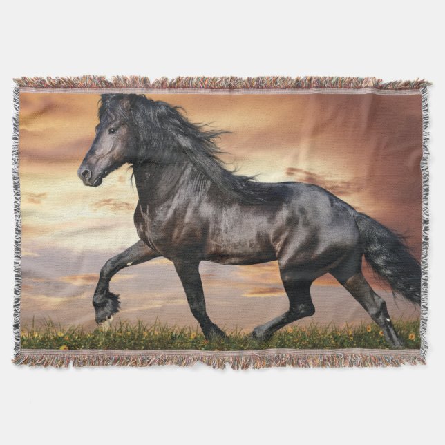 Beautiful Black Horse Throw Blanket (Front)