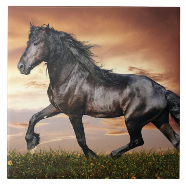 Beautiful Black Horse Tile (Front)
