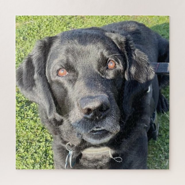 Beautiful Black Lab Jigsaw Puzzle (Vertical)