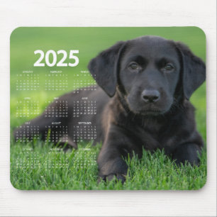 Beautiful Black Labrador 2025 Dog Calendar Mouse Mat
