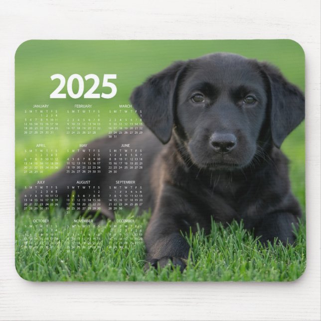 Beautiful Black Labrador 2025 Dog Calendar Mouse Mat (Front)
