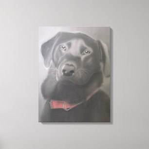 "Beautiful Black Labrador " Charcoal Drawing Canvas Print