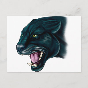 Beautiful Black Panther Postcard