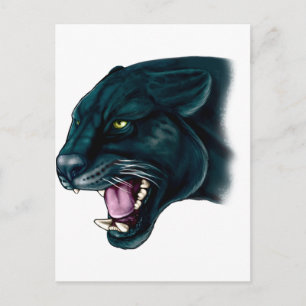 Beautiful Black Panther Postcard