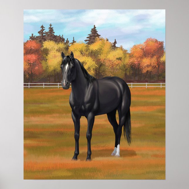 Beautiful Black Quarter Horse Stallion Poster (Front)