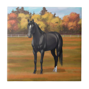 Beautiful Black Quarter Horse Stallion Tile
