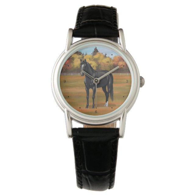 Beautiful Black Quarter Horse Stallion Watch (Front)
