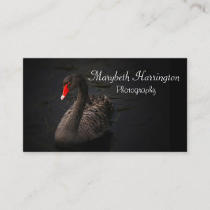 Beautiful Black Swan with a Bright Red Beak Business Card