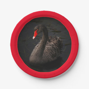 Beautiful Black Swan with a Bright Red Border Paper Plate