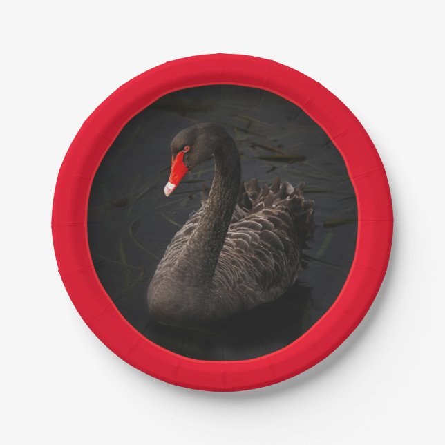 Beautiful Black Swan with a Bright Red Border Paper Plate (Front)