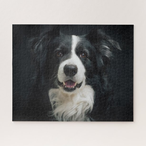 Border Collie Jigsaw Puzzles Zazzle.co.uk