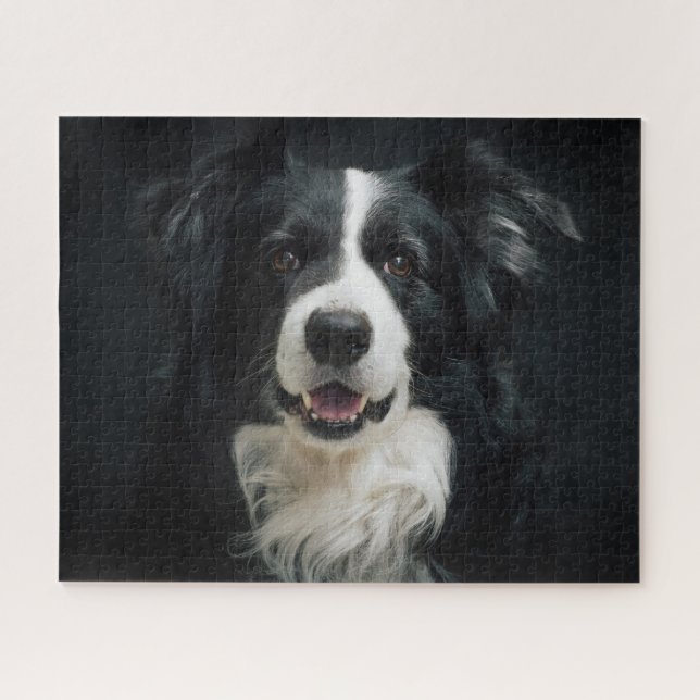 Beautiful Black White Border Collie Dog Photo Jigsaw Puzzle (Horizontal)