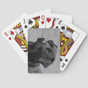 Beautiful Black & White Photo of a Black Labrador Playing Cards