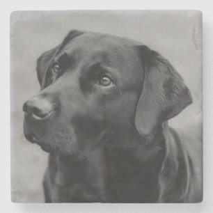 Beautiful Black & White Photo of a Black Labrador Stone Coaster