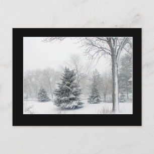 Beautiful Blizzard Postcard