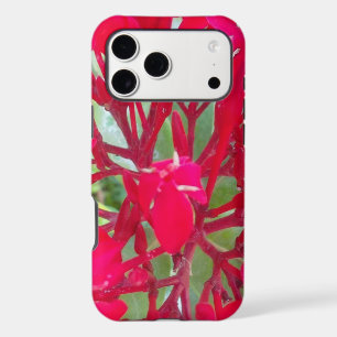 Beautiful Blood Flower Milkweed Art Print/Graphic