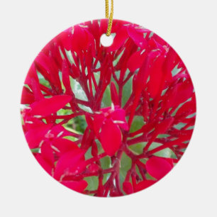 Beautiful Blood Flower Milkweed Art Print/Graphic Ceramic Tree Decoration