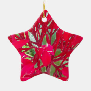 Beautiful Blood Flower Milkweed Art Print/Graphic Ceramic Tree Decoration