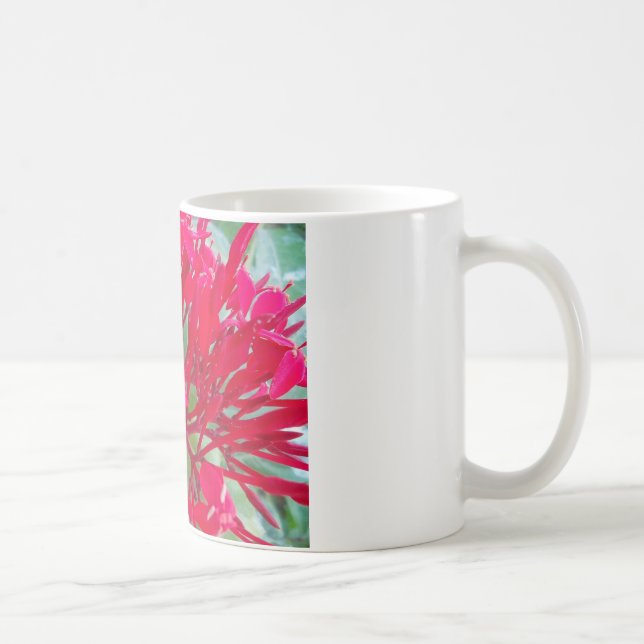 Beautiful Blood Flower Milkweed Art Print/Graphic Coffee Mug (Right)