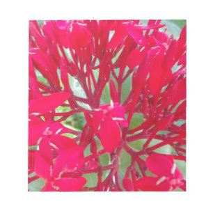 Beautiful Blood Flower Milkweed Art Print/Graphic Notepad