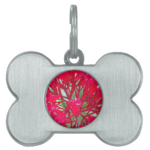 Beautiful Blood Flower Milkweed Art Print/Graphic Pet Tag