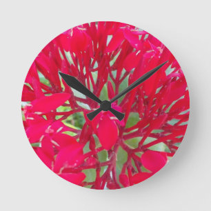 Beautiful Blood Flower Milkweed Art Print/Graphic Round Clock