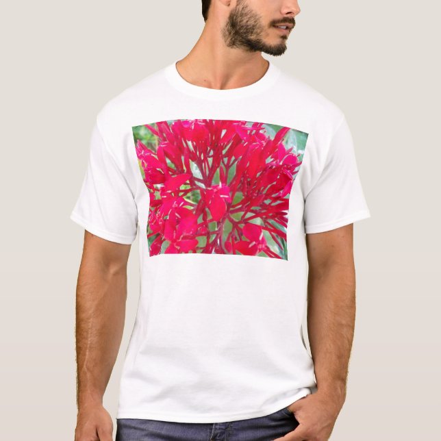 Beautiful Blood Flower Milkweed Art Print/Graphic T-Shirt (Front)
