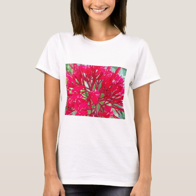 Beautiful Blood Flower Milkweed Art Print/Graphic T-Shirt (Front)