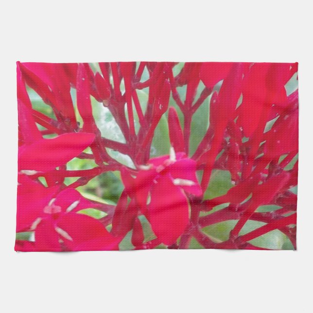 Beautiful Blood Flower Milkweed Art Print/Graphic Tea Towel (Horizontal)