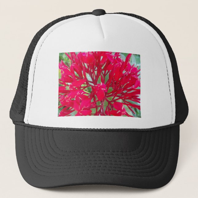 Beautiful Blood Flower Milkweed Art Print/Graphic Trucker Hat (Front)