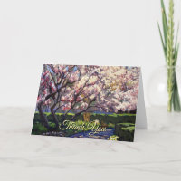 Beautiful Blooming Apple Trees in Red and Whites